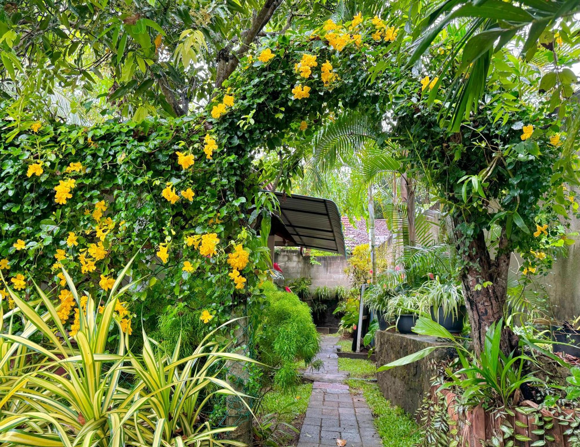 Nethmi Homestay & Restaurant Tangalle Exterior foto