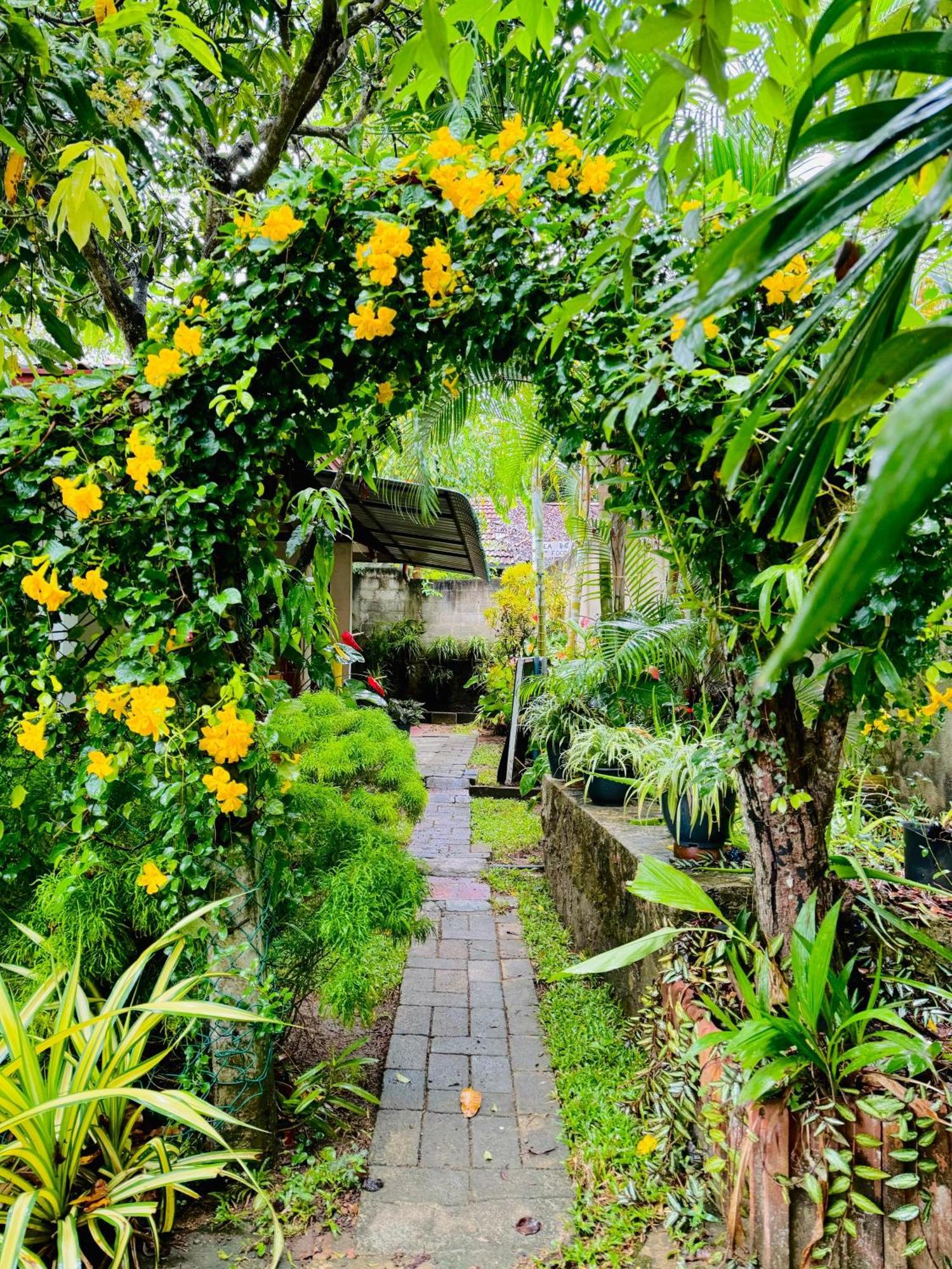 Nethmi Homestay & Restaurant Tangalle Exterior foto